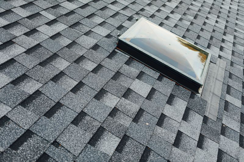 Roof Pitch and Accessibility